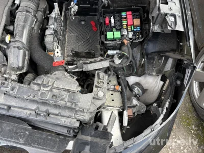 Image 23