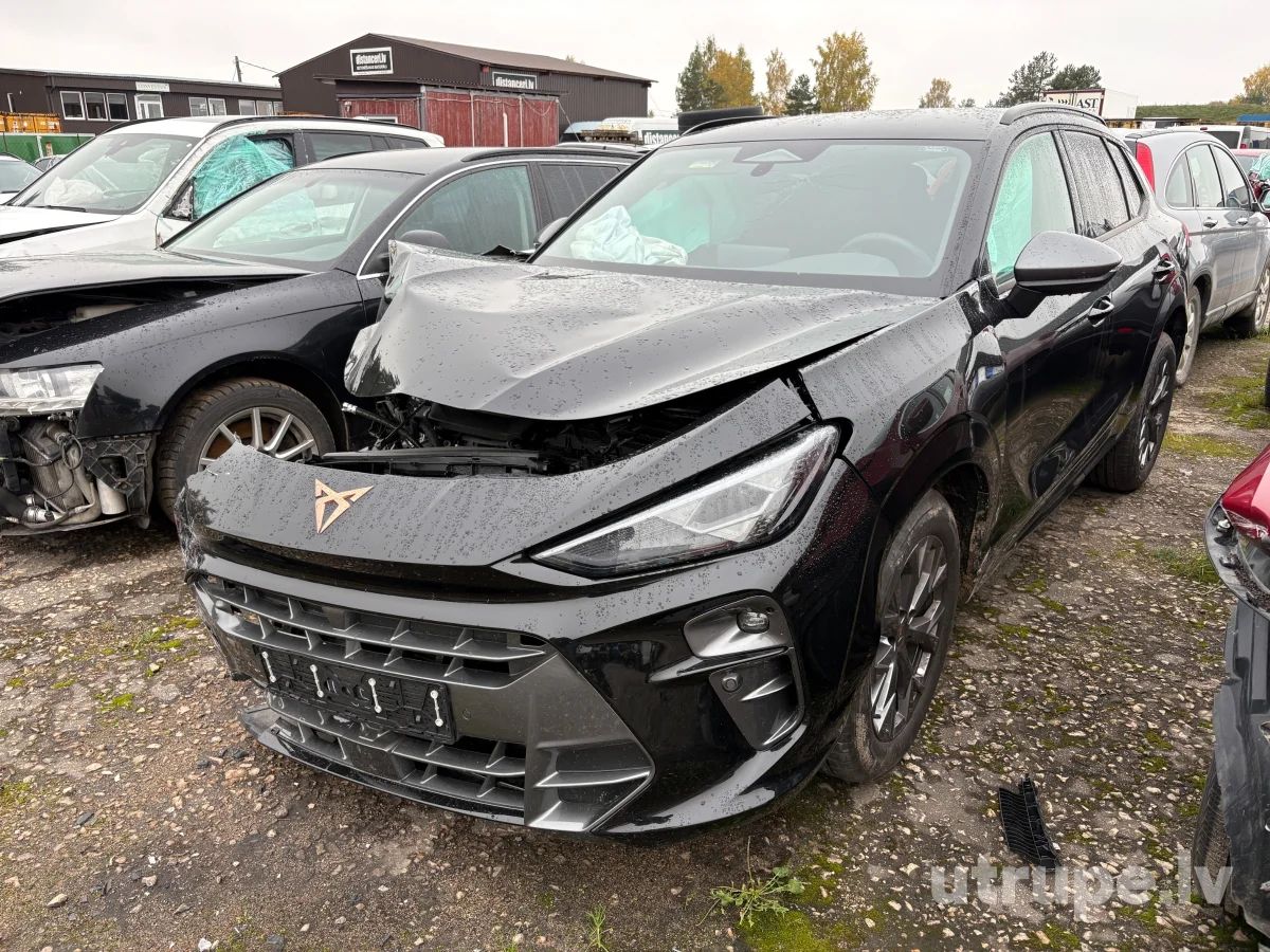 CUPRA TERRAMAR