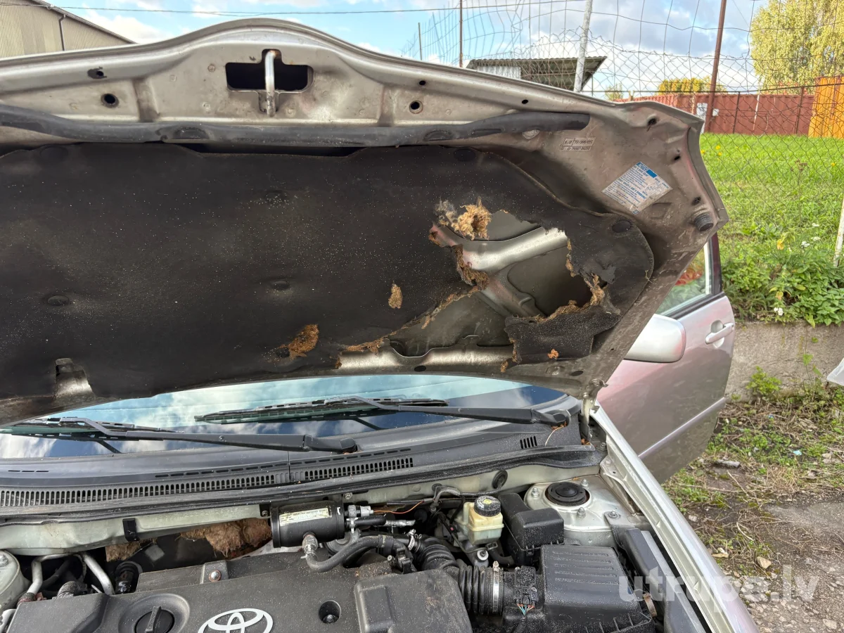 TOYOTA COROLLA