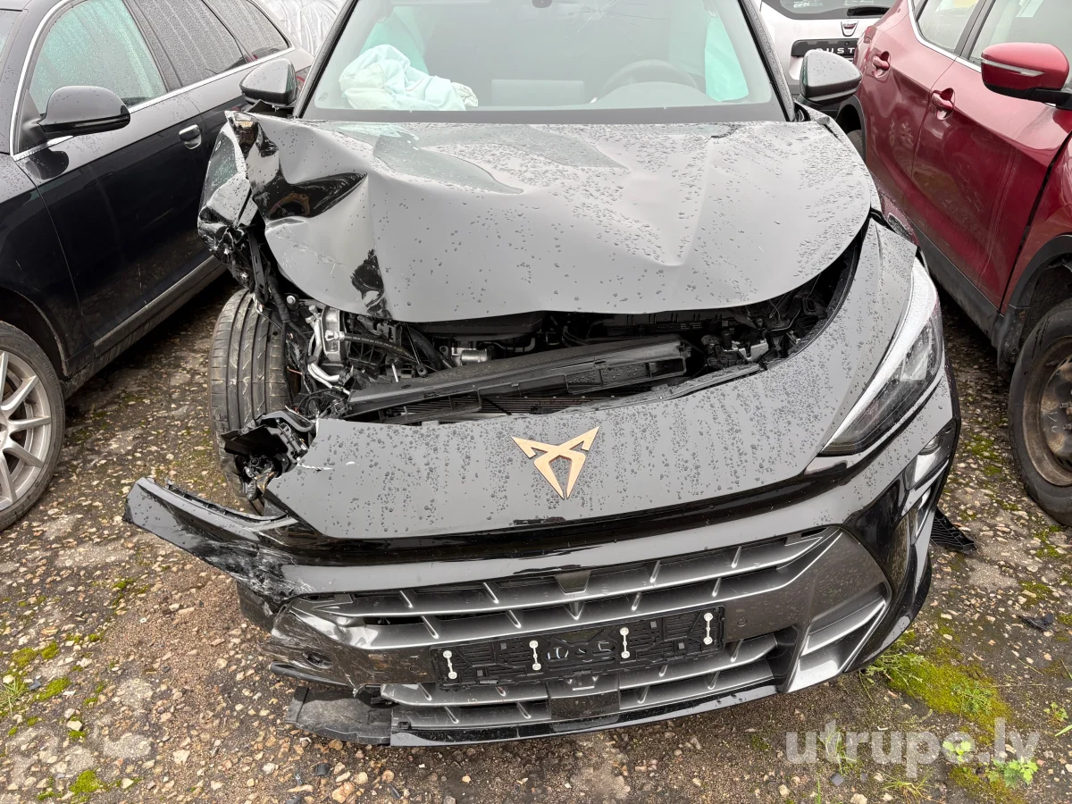 CUPRA TERRAMAR
