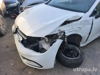 Image 13