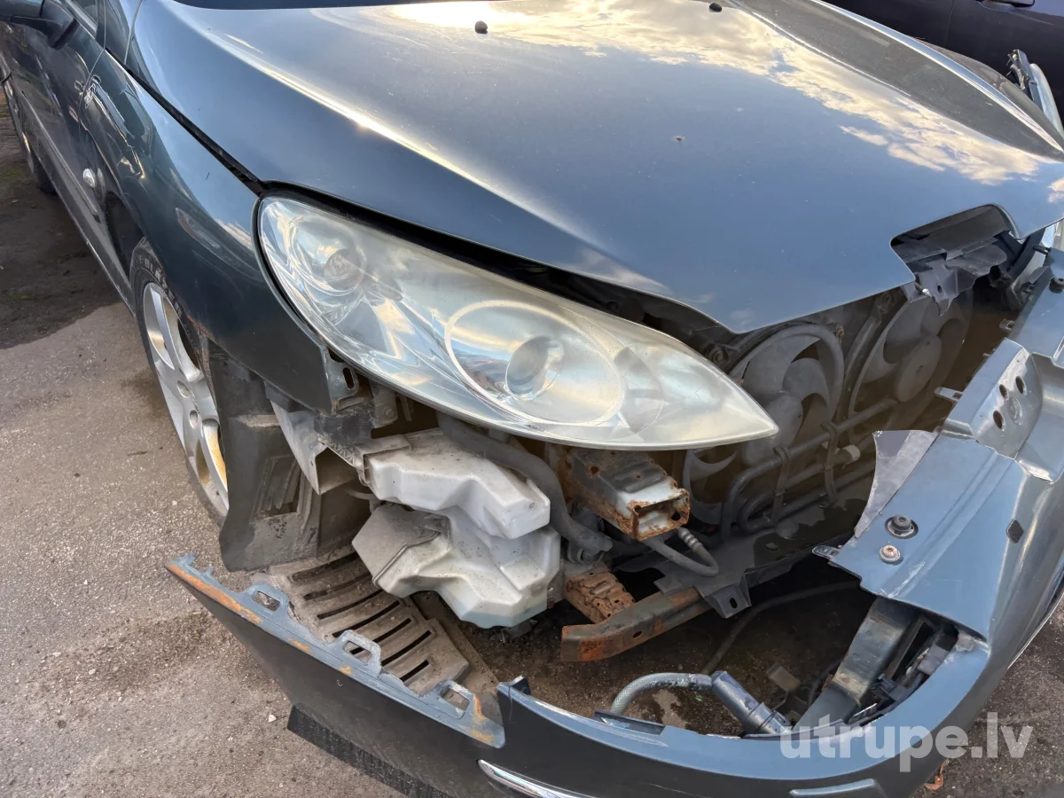PEUGEOT 407