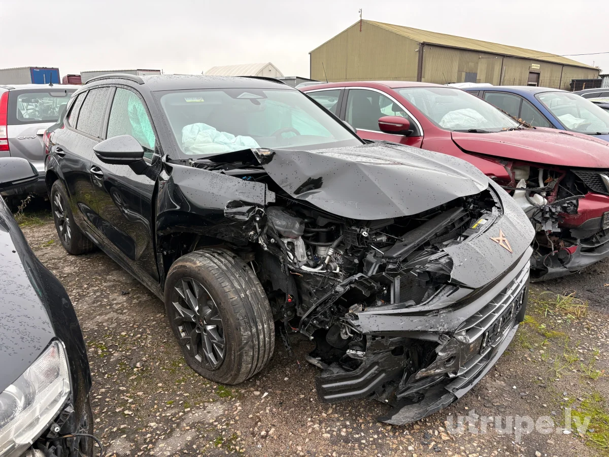 CUPRA TERRAMAR
