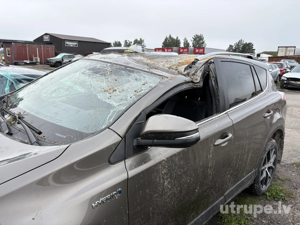 TOYOTA RAV 4