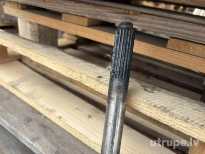 Image 14