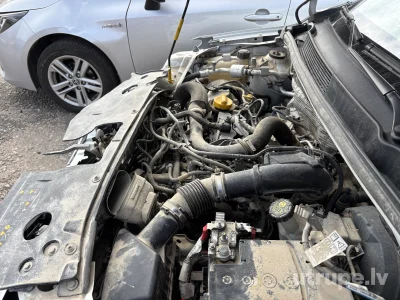 Image 16