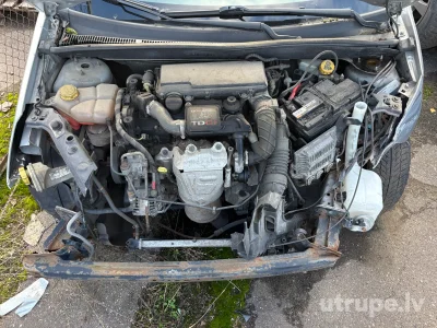 Image 17