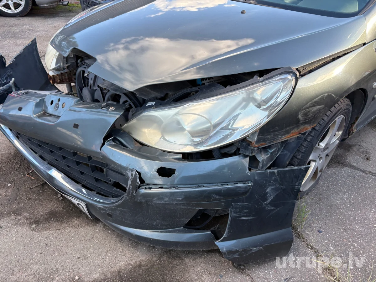 PEUGEOT 407